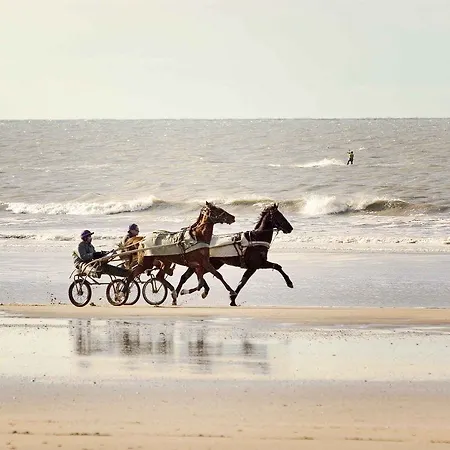 Ibis Port De Plaisance Caen