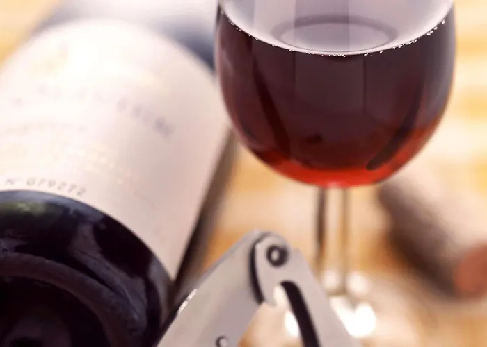 호텔 Ibis Centre 3*