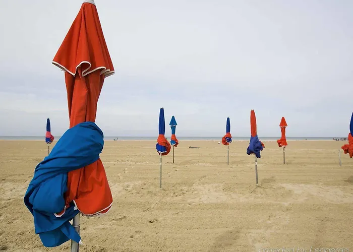 Отель Ibis Centre 3*